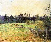 Camille Pissarro Cattle oil on canvas